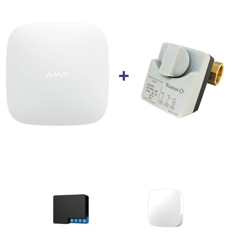 Система защиты от протечки воды Ajax Hub Plus + кран с электроприводом Tervix Pro Line ORC DN15 + Бесплатная доставка