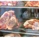 Холодильник для созревания мяса FRSF2GT - 3