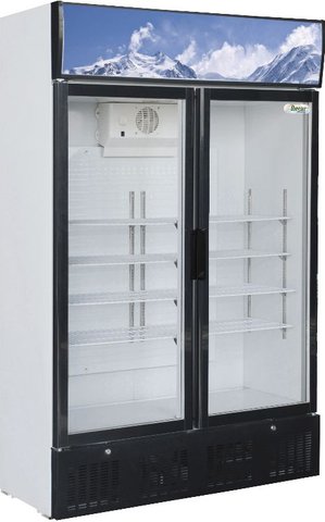 Шафа холодильна Forcar G-SNACK638L2TNG