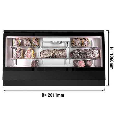 Холодильник для созревания мяса GGM Gastro FRVI20B
