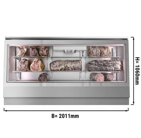 Холодильник для созревания мяса GGM Gastro FRVI20E