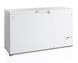Морозильный ларь с глухой крышкой TEFCOLD FR605SL
